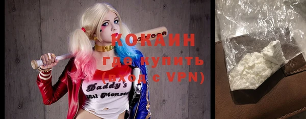 СК Вязьма