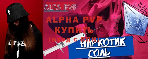 СК Вязьма