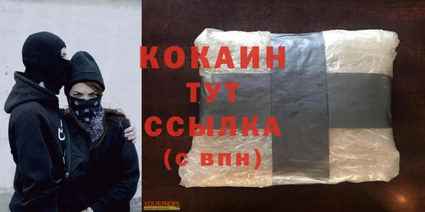 бошки Горняк