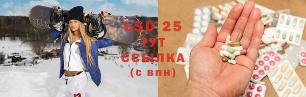 СК Вязьма