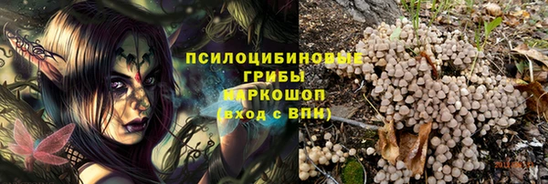 СК Вязьма