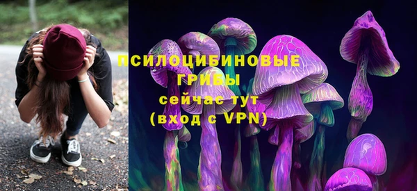 СК Вязьма