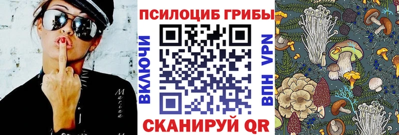 Галлюциногенные грибы Psilocybine cubensis  Знаменск 